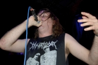 CATTLE DECAPITATION